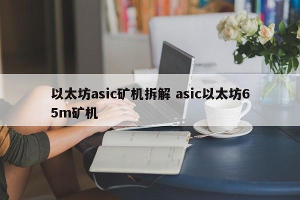 以太坊asic矿机拆解 asic以太坊65m矿机