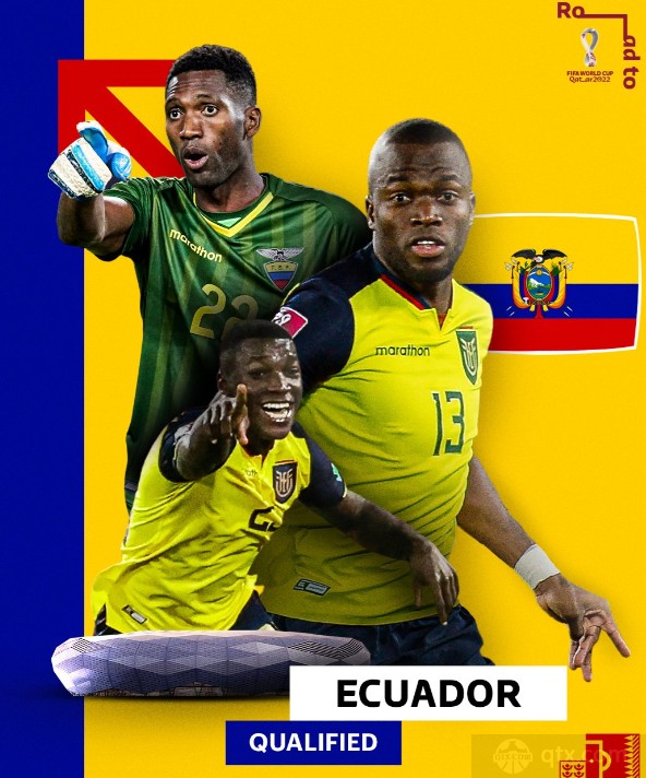 以太坊足球队 以太坊团队持有以太比例