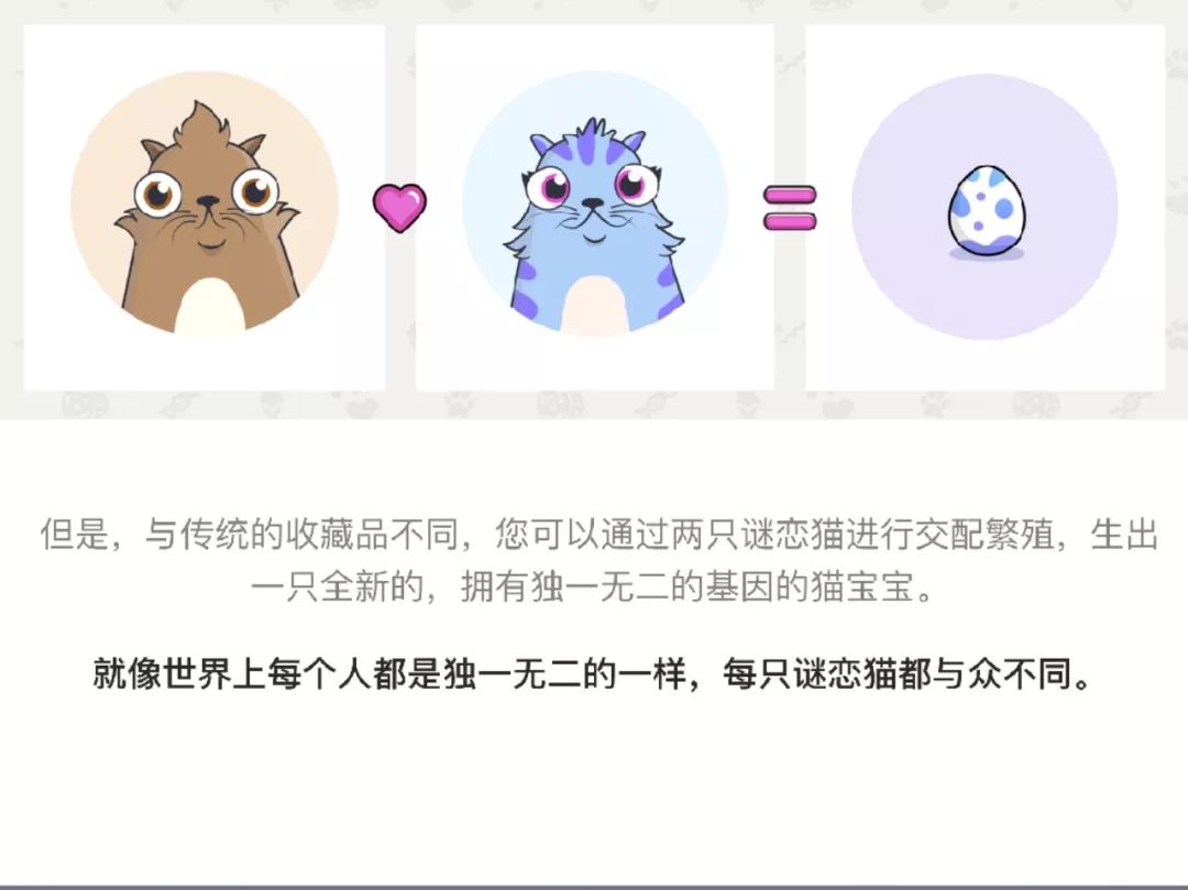 以太坊上的猫 以太坊mhs 以太坊上的猫 以太坊mhs