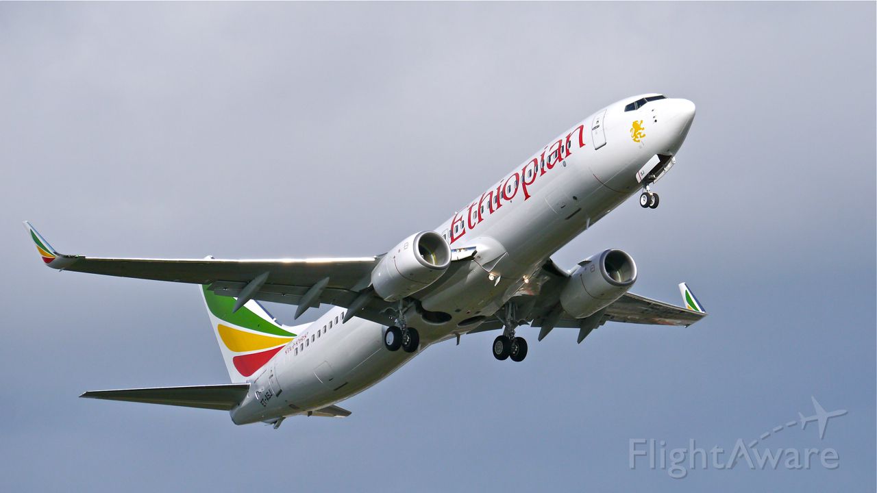 包含BOE菩提以太坊价格的词条 包含BOE菩提以太坊价格的词条