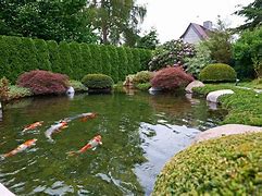 鱼池以太坊怎么变现 鱼池挖的以太坊怎么卖出 鱼池以太坊怎么变现 鱼池挖的以太坊怎么卖出