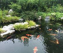 鱼池以太坊怎么变现 鱼池挖的以太坊怎么卖出 鱼池以太坊怎么变现 鱼池挖的以太坊怎么卖出