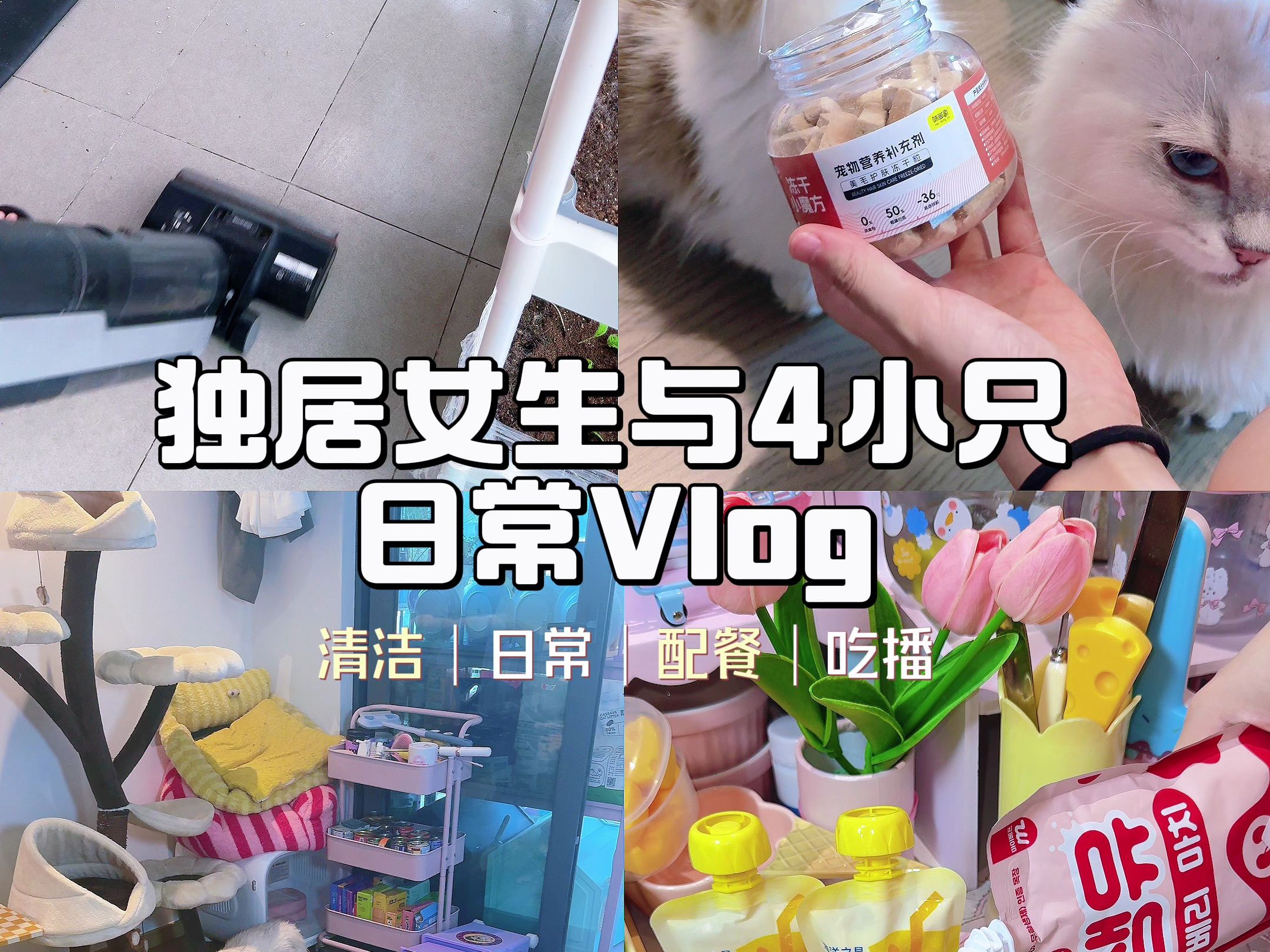 以太坊云养猫堵塞 以太坊云矿机是真的假的