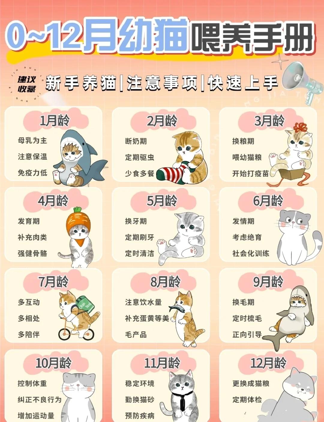 以太坊养猫怎么玩 以太坊怎么玩会赚钱