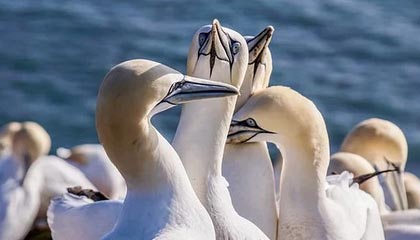 evm以太坊简书 以太坊 epoch