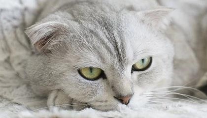 evm以太坊简书 以太坊 epoch