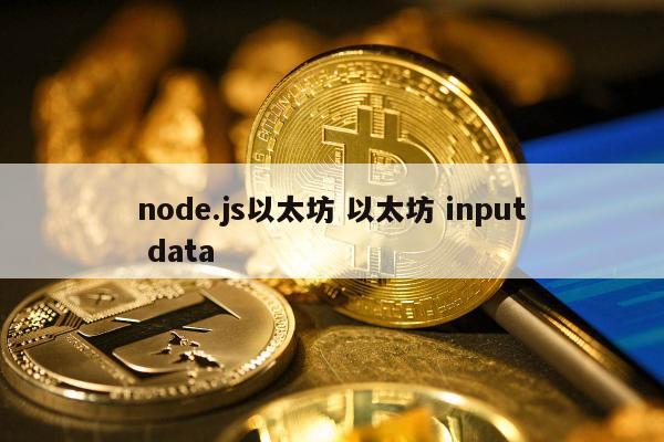 node.js以太坊 以太坊 input data